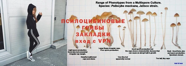 прущая мука Покровск