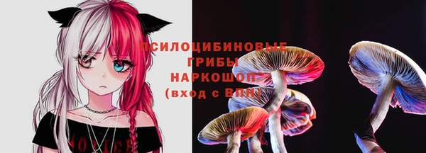 кокс Покачи