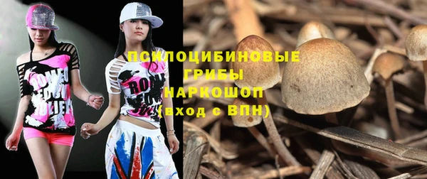 кокс Покачи